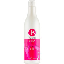 Bbcos Línea Kristal Basic Champú Regenerador