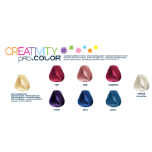 Tinte Creativity Proco Pro.Color