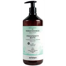 Champú Energizante Prosperity Bath Artego Rain Dance Renaissance