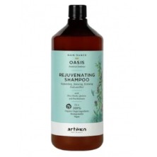 Champú Revitalizante Artego Rejuvenating Shampoo Rain Dance Oasis