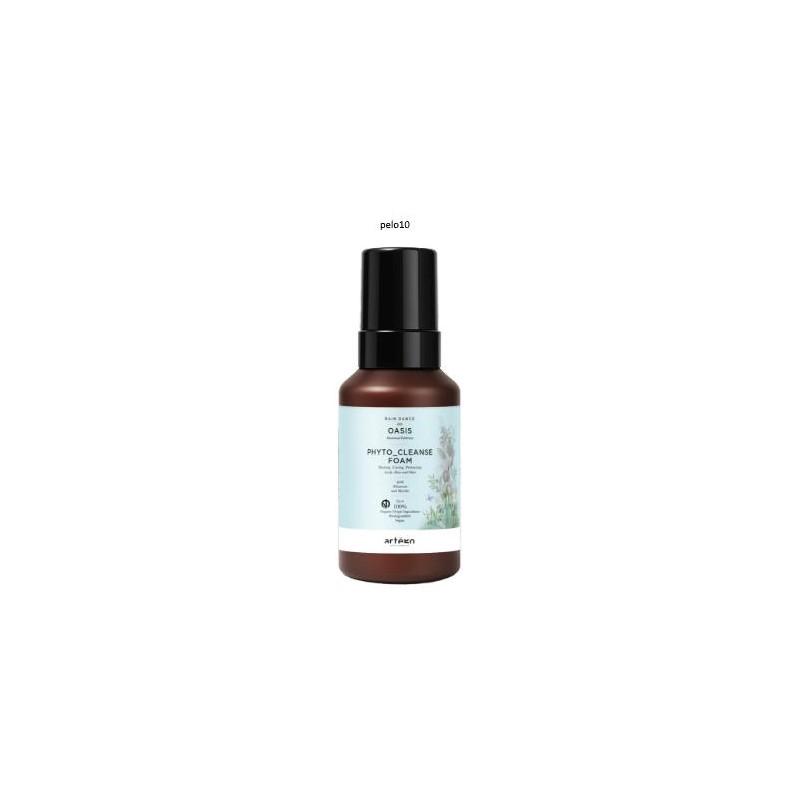 Espuma Limpiadora Phyto Cleanse Foam Artego Rain Dance Oasis